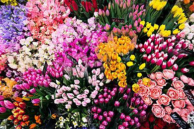 《纪念碑谷》或在今年登陆PC 系列第三部还需要等待